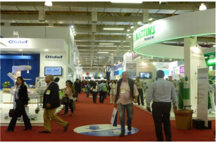 巴西展.png 巴西展.png